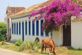 primavera jigsaw puzzle