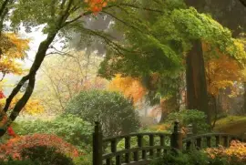 todo paisaje jigsaw puzzle