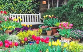 plantas y flores jigsaw puzzle