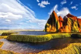 NATUREZA jigsaw puzzle