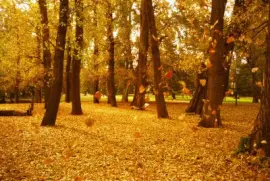 OtoÃ±o en CÃ³rdoba. Argentina