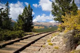 NATUREZA jigsaw puzzle