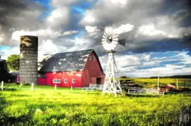 NATUREZA jigsaw puzzle