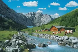 NATUREZA jigsaw puzzle