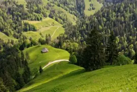 imagens jigsaw puzzle