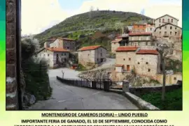 MONTENEGRO DE CAMEROS (SORIA) â€“ LINDO PUEBLO