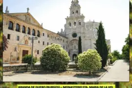 ARANDA DE DUERO (BURGOS) â€“ STA.  MARIA DE LA VID