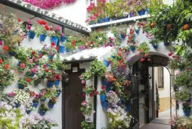 Patio(Varanda) en Cordoba