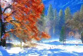 imagens jigsaw puzzle