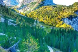 imagens jigsaw puzzle