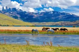 imagens jigsaw puzzle