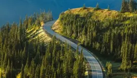 NATUREZA jigsaw puzzle