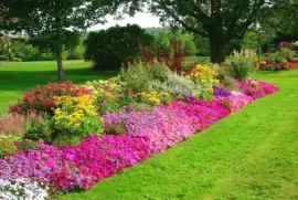 imagens jigsaw puzzle