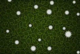 Minimalismo, hojas, flores.jpg jigsaw puzzle