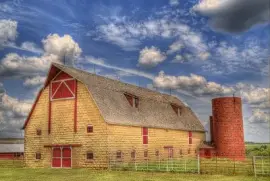 NATUREZA jigsaw puzzle