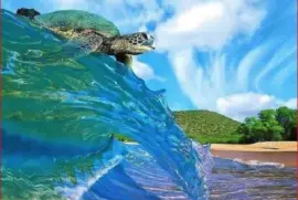TORTUGA SURFISTA jigsaw puzzle