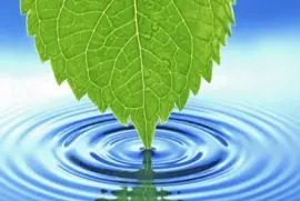 Nokia .jpg jigsaw puzzle