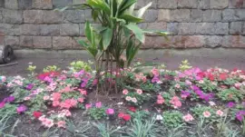 flores jigsaw puzzle