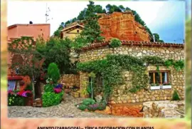 ANENTO (ZARAGOZA) â€“ TÃPICA DECORACION CON PLANTAS