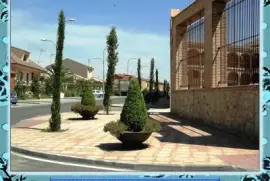 TORRIJOS (TOLEDO)â€“ CALLE  MURILLO CON SUS CIPRESES