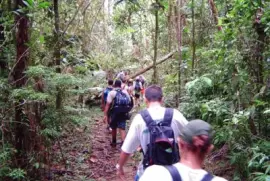 Trilha da Pirapitinga