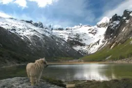 Laguna Esmeralda. Tierra del Fuego. Argentina