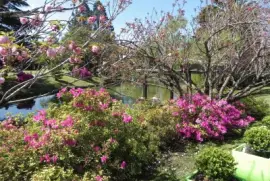 Escobar. Buenos Aires. Argentina