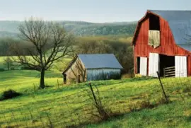 NATUREZA jigsaw puzzle