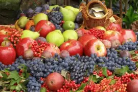 Alimento-Frutas,Variedad .