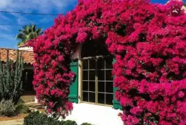 imagens jigsaw puzzle