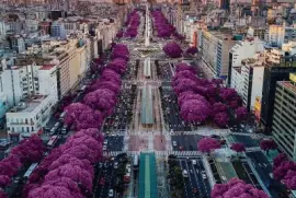 imagens jigsaw puzzle