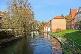 NATUREZA jigsaw puzzle