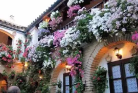 todo paisaje jigsaw puzzle