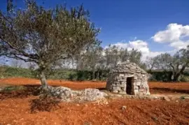 NATUREZA jigsaw puzzle