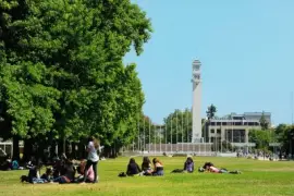 imagens jigsaw puzzle