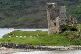 images jigsaw puzzle