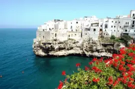 todo paisaje jigsaw puzzle