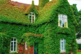 La casa verde-R.U. jigsaw puzzle