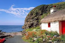 NATUREZA jigsaw puzzle