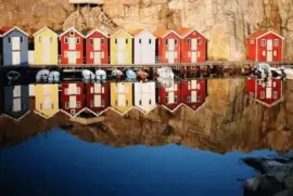 reflection jigsaw puzzle