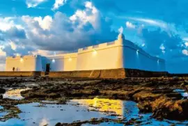 NATUREZA jigsaw puzzle