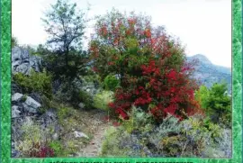 CAÃ‘Ã“N DEL RIO LEZA (LA RIOJA) â€“ RUTA DE SENDERISMO