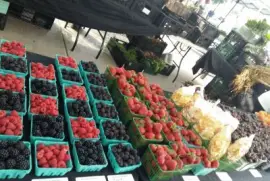 flores jigsaw puzzle