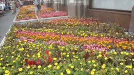 jardineras jigsaw puzzle