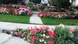 jardinera jigsaw puzzle