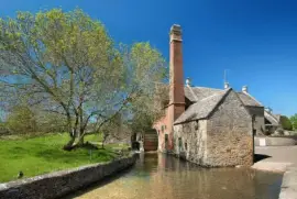 NATUREZA jigsaw puzzle