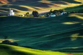 imagens jigsaw puzzle