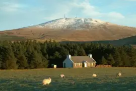 NATUREZA jigsaw puzzle