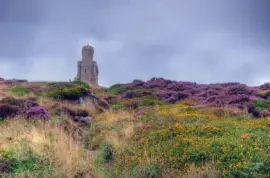 NATUREZA jigsaw puzzle