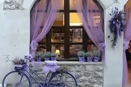 todo paisaje jigsaw puzzle